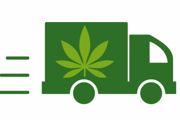 mmj delivery software